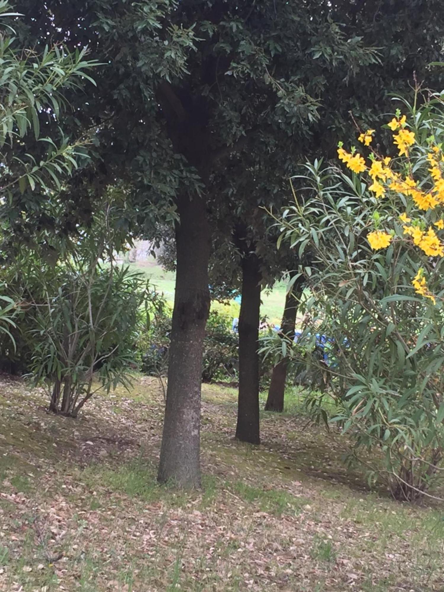 Appartamento Dell Agriturismo Pane E Olio Τόντι Εξωτερικό φωτογραφία