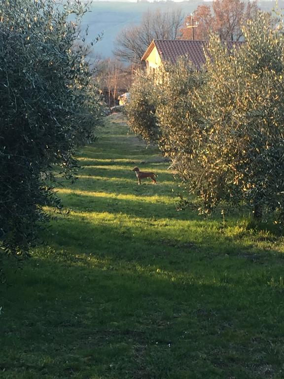 Appartamento Dell Agriturismo Pane E Olio Τόντι Εξωτερικό φωτογραφία