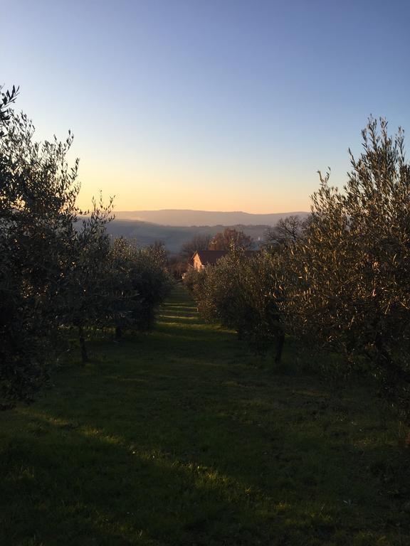 Appartamento Dell Agriturismo Pane E Olio Τόντι Εξωτερικό φωτογραφία
